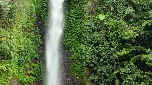 beautiful waterfall in the rain forest