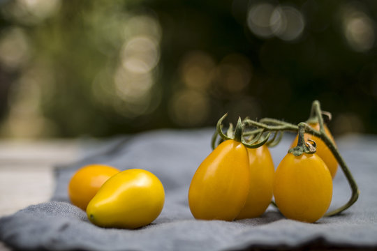 Yellow tomatoes on the table