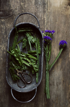 flower stems