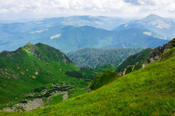 Fototapeta na wymiar green mountains of Ukraine, Carpathians