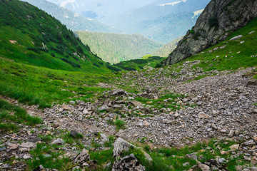 stones in the gorge of green mountains