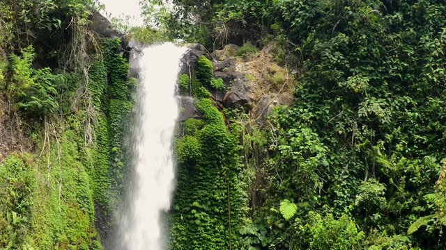 beautiful waterfall in the rain forest