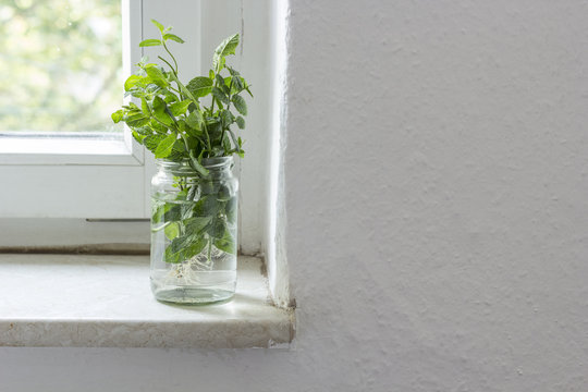 Bunch of mint in a glass on windowsill
