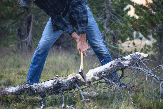 Man Cutting Wood with Hatchet