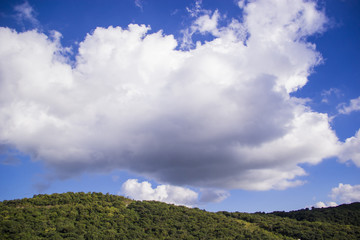 Arboles y nubes minimalismo 