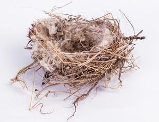 Obraz premium bird nest An empty isolated on white background