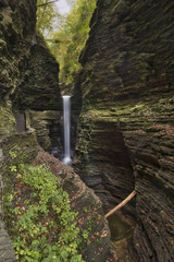 Waterfall in Gorge 2