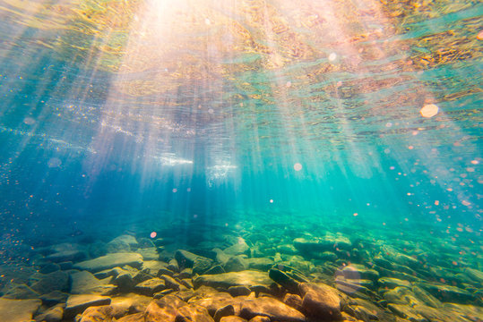 Underwater Photo of Crystal Clear Freshwater Lake Landscape at Family Cottage on Georgian Bay Canada