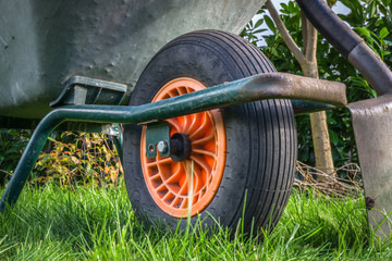Fototapeta premium a wheelbarrow and a spade in the garden