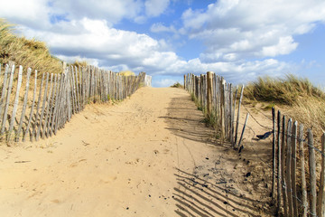 Fototapeta na wymiar Path through the sand dunes to the beach with a blue sky and fluffy white cloud backroung