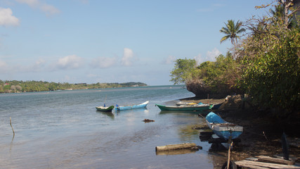 Blue canoes in a small harbor