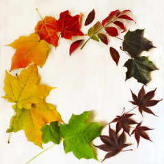 Naklejka na ściany i meble Autumn colorful leaves frame