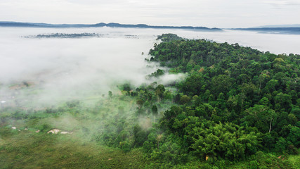 Mountains with trees and fog in thailand