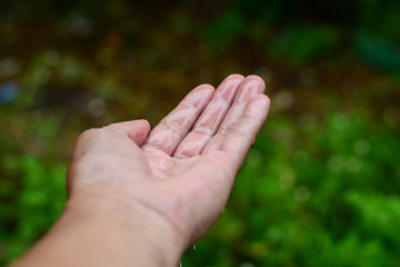 adult wet hand with rain water and green  plant background