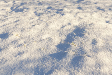 Snow drifts in winter