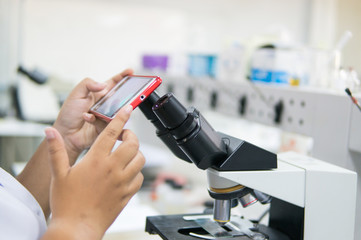 Scientist use a smartphone capture photo
