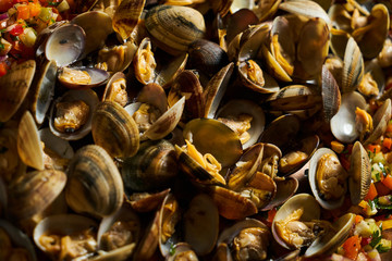 Seafood cocktail with chopped vegetables shellfish scallop