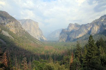 Fototapeta premium Yosemite national Park in USA