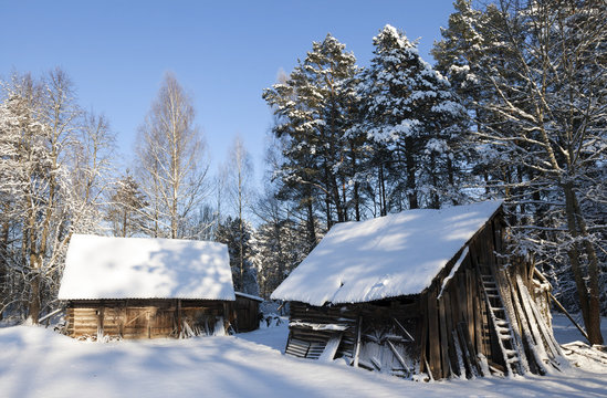 Wooden buildings in the forest