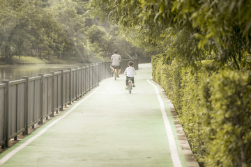 Rding a bicycle in a green park, thailand, bangkok, jatujak park - 176033919