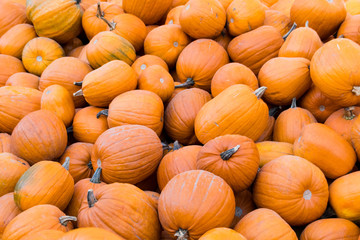 Piles of Pumpkins 