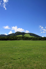 Fototapeta premium 久住高原