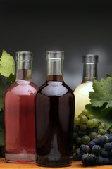 Fototapeta premium 176034558