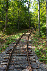 Obraz premium Railroad Track traversing through a deciduous forest with green leaves. The natural light is dappled.
