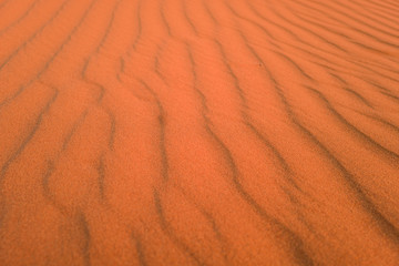 sand dune textures