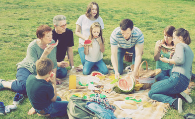 People of different ages sitting and talking on picnic