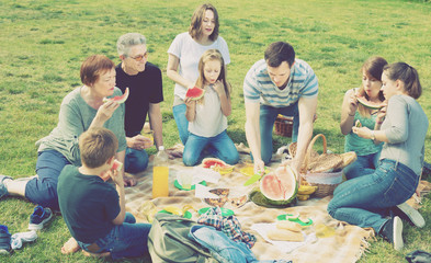 Fototapeta premium People of different ages sitting and talking on picnic