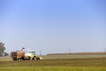 Fototapeta na wymiar Harvesting the corn field