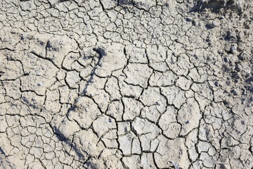 Climate warming dry chapped land