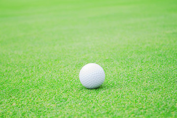 Golf ball on the lawn.