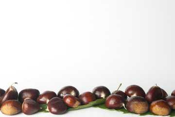 Chestnuts isolated