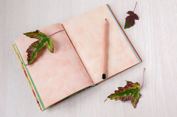 Open book on the table, pencil and autumn leaves