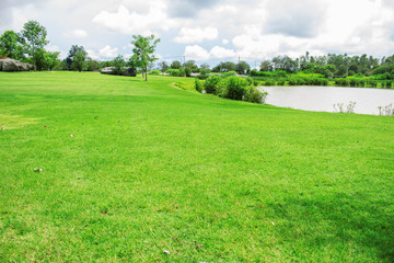 Lawn in the park.