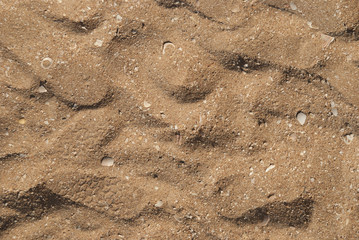 Sand Texture. Brown sand. Background from fine sand. Sand background