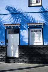 blue house with white doors