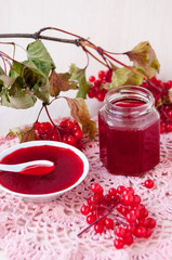 Still life: a jar of jelly from the viburnum