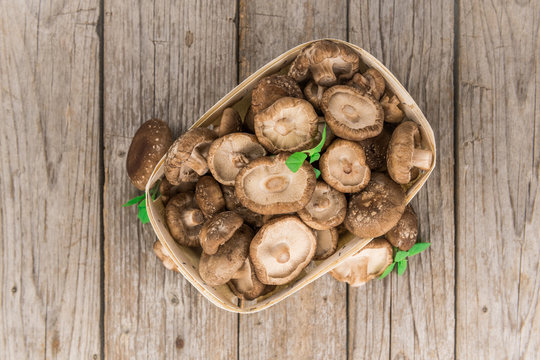 Portion of Raw Shiitake mushrooms, selective focus