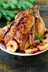 Christmas chicken, turkey baked with cranberries and apples