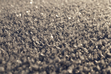 Winter time, close-up