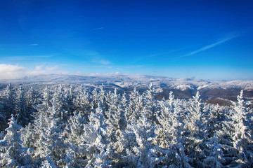 Harz © Janni