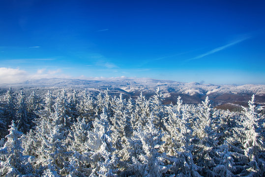 Harz