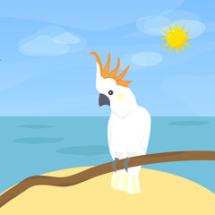 Parrot Cockatoo, a bird. Parrot cucumber on the background of the sea and sky