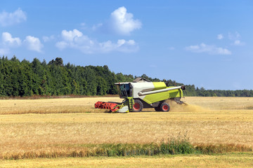 harvest