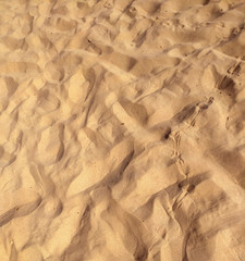 Sand background on the beach