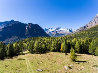 Footpath in a green meadows, beautiful forest with pines in mountain