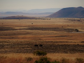 African landscape
